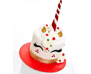 Download Christmas Unicorn Or Red Nose Reindeer Cake Voucher By 3d Cakes